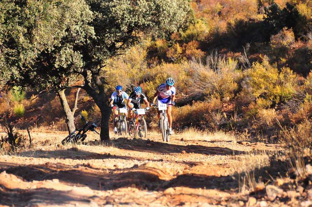 mtb,carpio