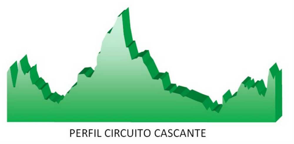 Perfil circuito CCR Cascante