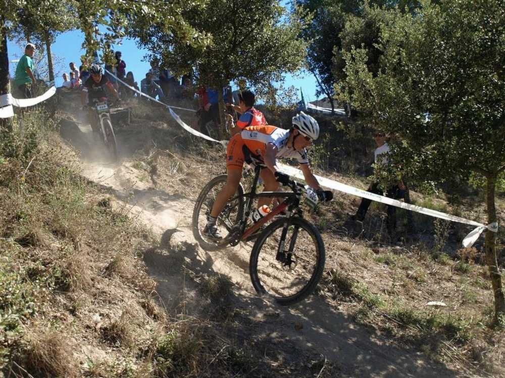 Merino-Izkue