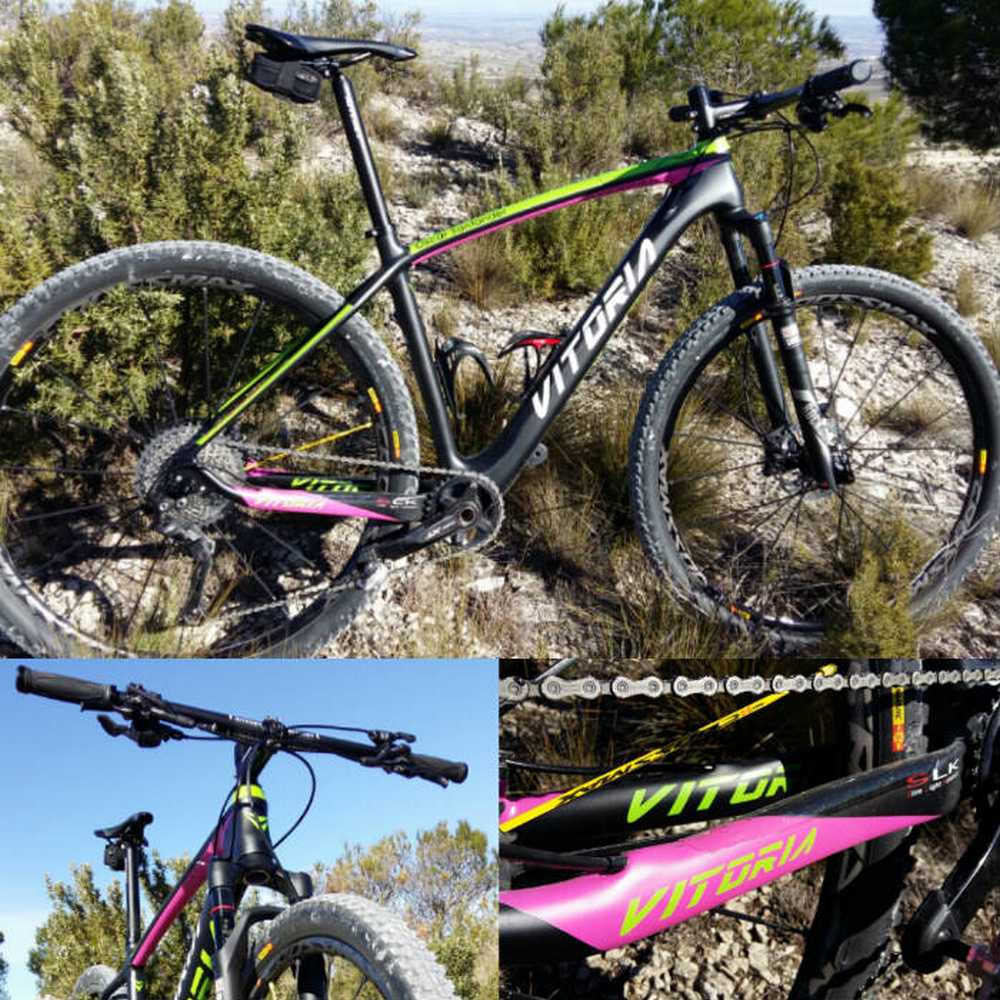 Montaje Vitoria Sioux 29 Advanced