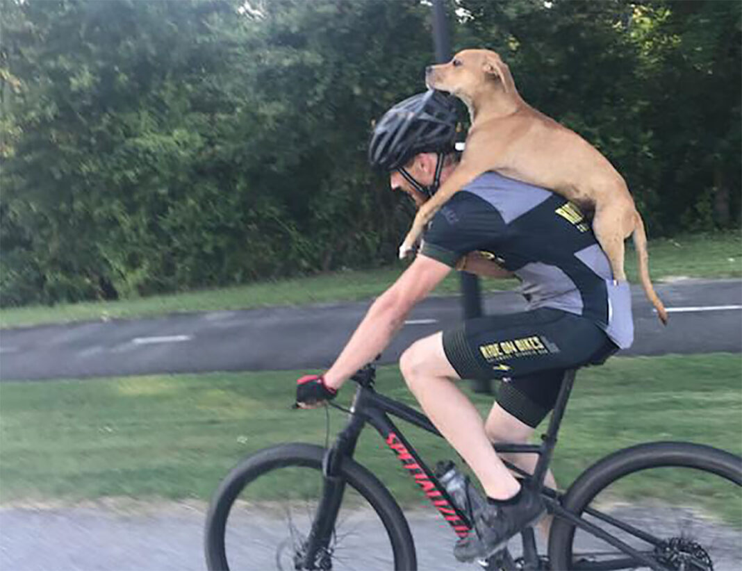 Así salvaron estos ciclistas a un perro de 5 meses atropellado