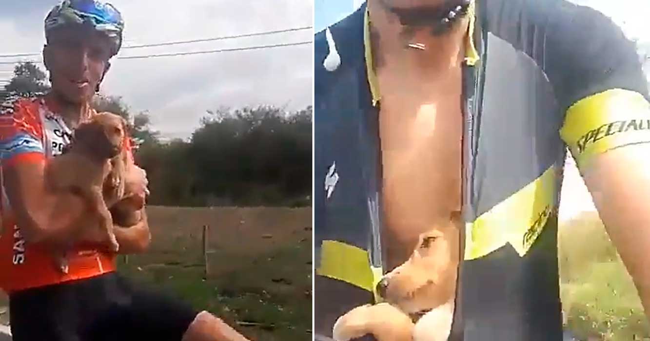 ciclistas rescatan a cinco cachorros perros