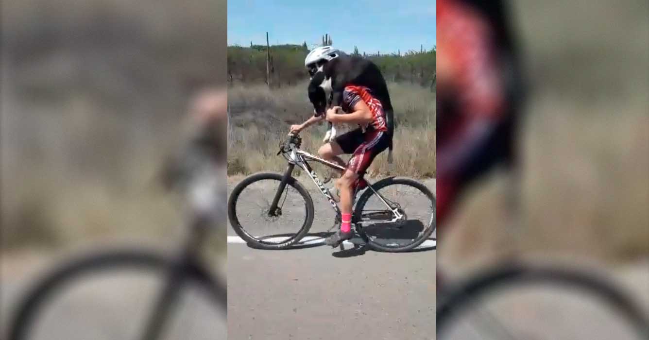 ciclistas rescatan a un perro
