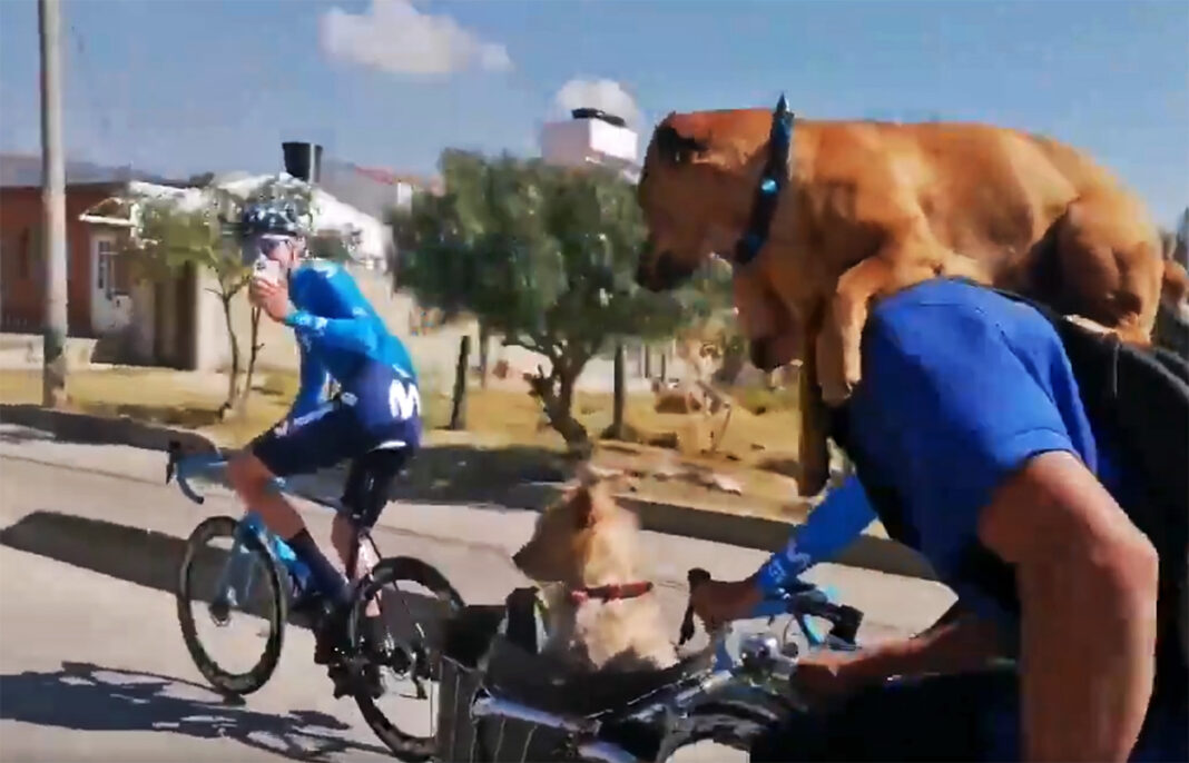 Vídeo-Ciclistas-del-Movistar-Team-grabando-con-el-móvil-a-unos-perros-en-march