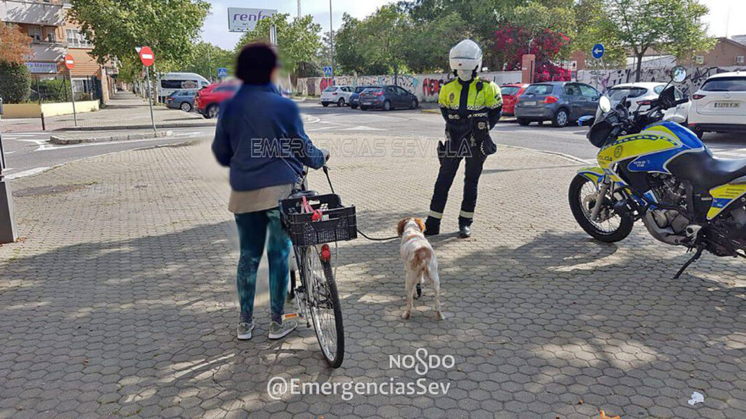 denunciada-por-pasear-al-perro-en-bicicleta-durante-estado-de-alarma-españa-mascota-protesis-pata