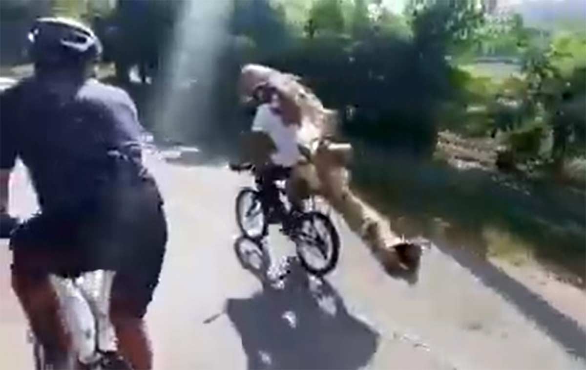 Vídeo-Espectacular-un-campesino-en-bicicleta-transportando-un-gran-tronco-a-la-espalda