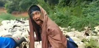 Vídeo: ¡Qué noooo! El espeluznante grito de un pastor a un grupo de ciclistas de montaña