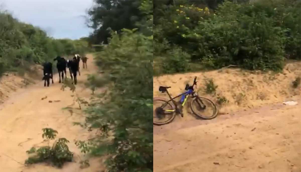 Vídeo: Cuando acorralan a un ciclista en un callejón sin salida...