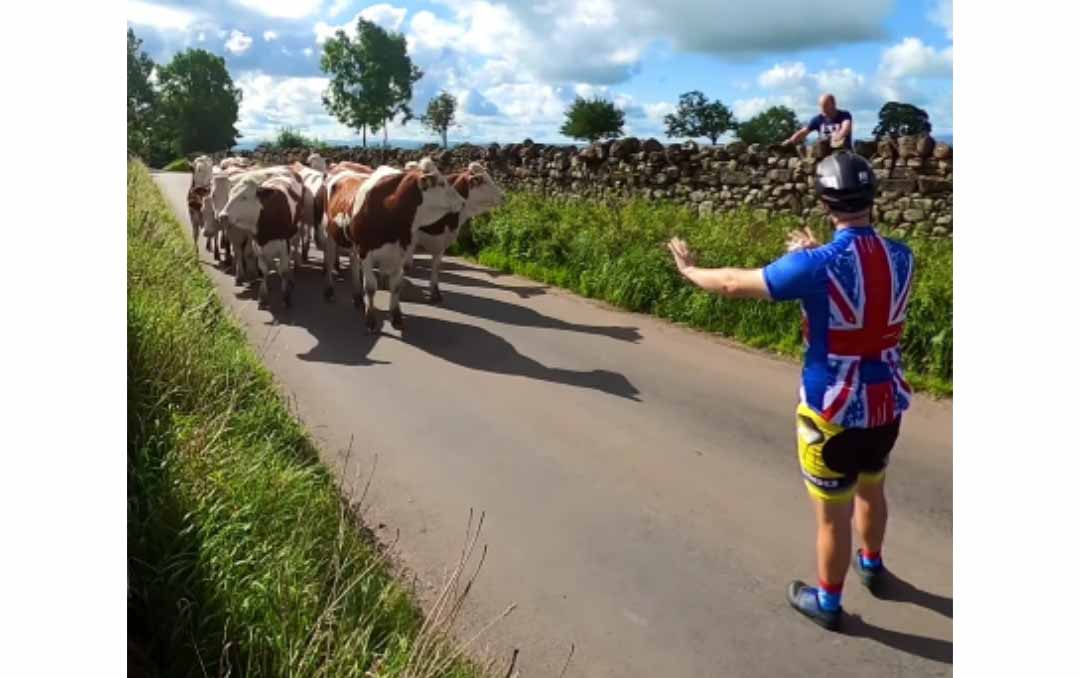 Vídeo: El ciclista que susurraba a las vacas